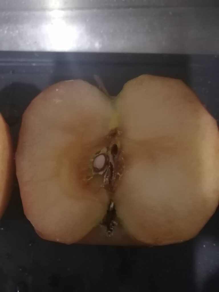 ミラパありリンゴ