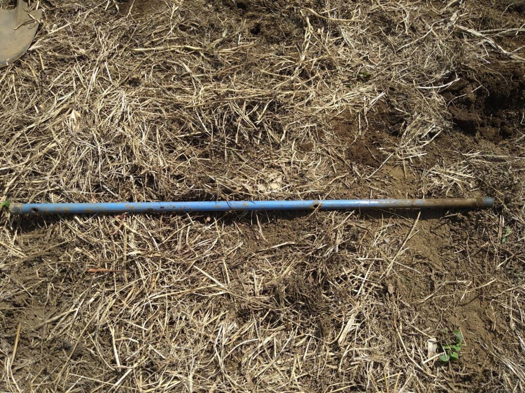 ミラパ畑外：棒を挿した様子（70cm）
